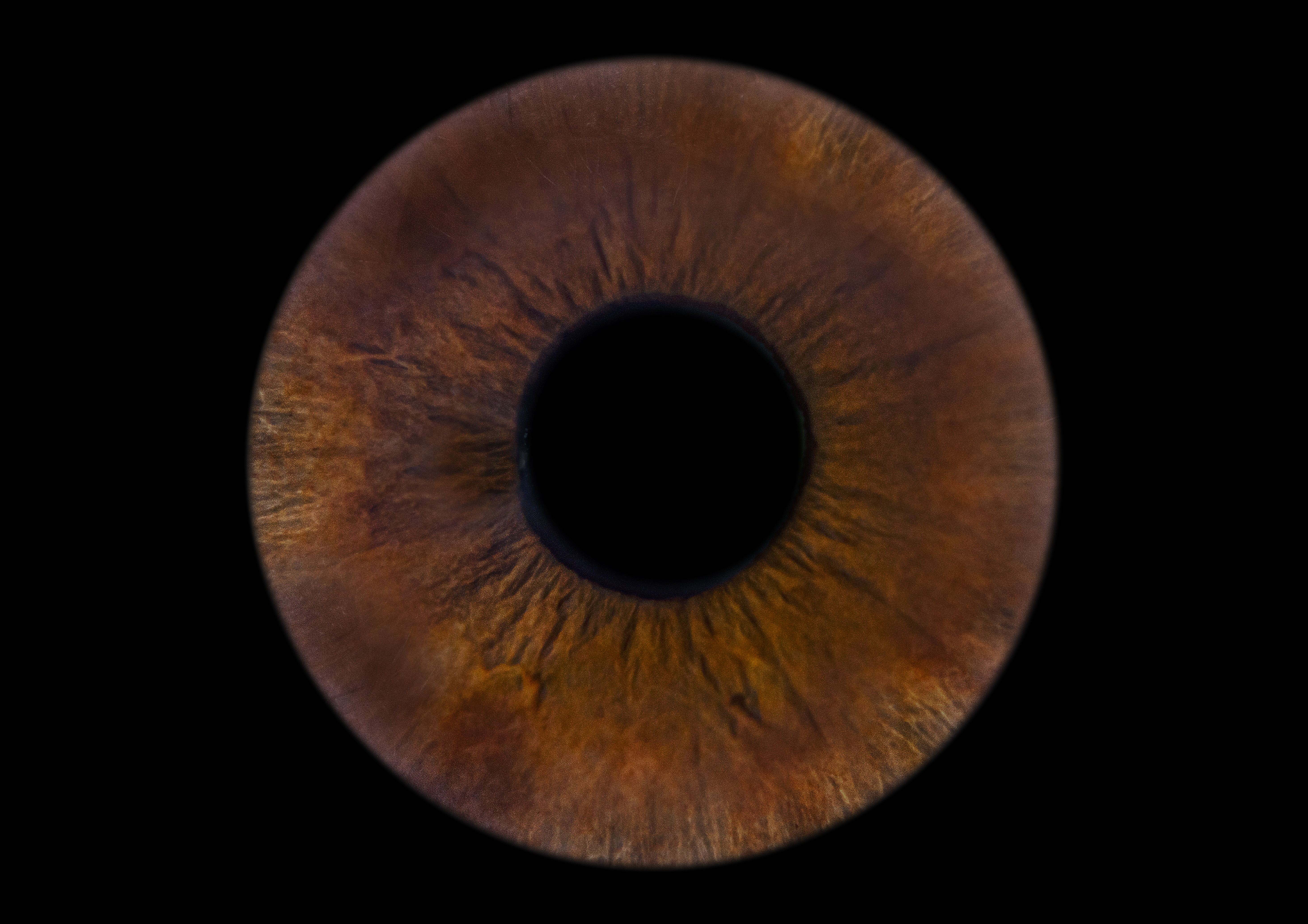 Iris artwork carousel example