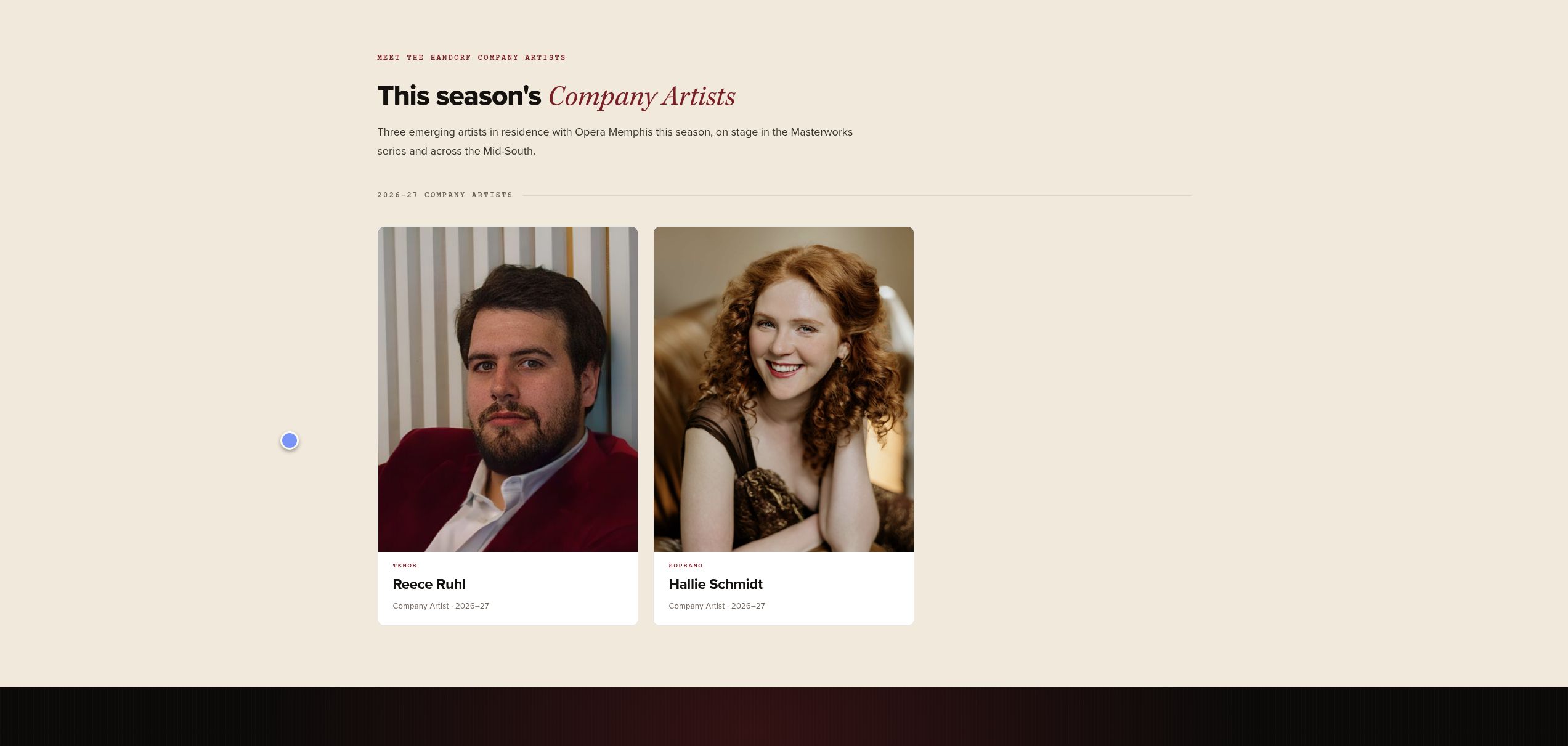 Website screenshot thumbnail
