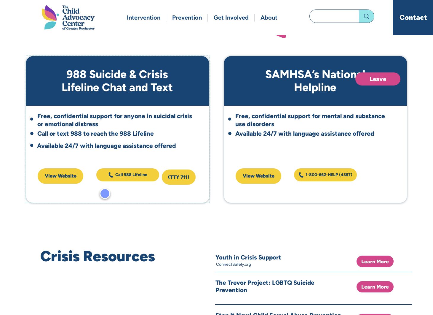 Website screenshot thumbnail