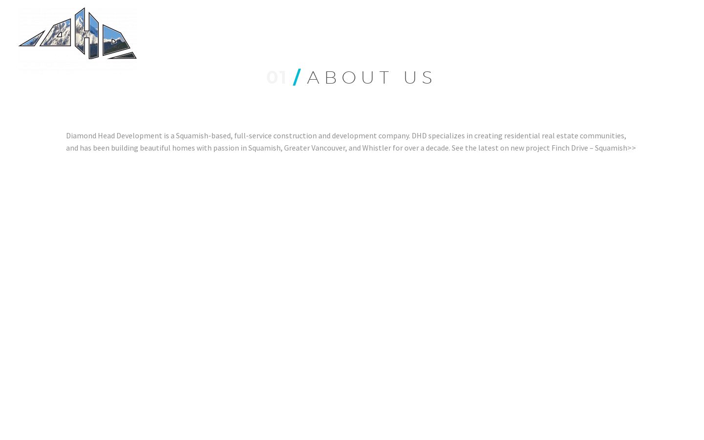 Diamond Head Development Diamond Head Development