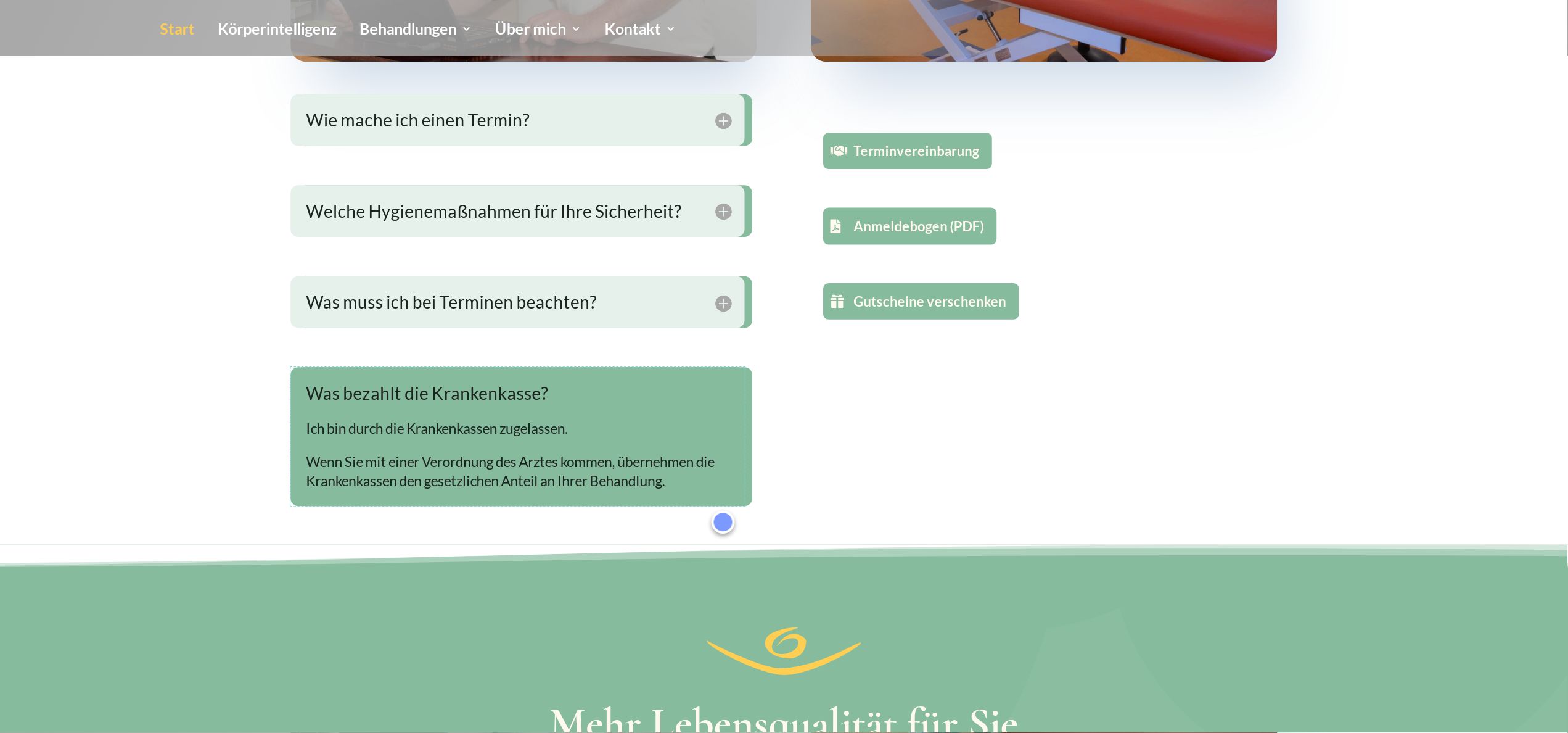 Website screenshot thumbnail