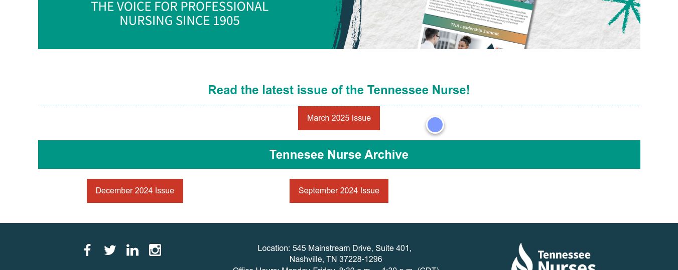 Website screenshot thumbnail